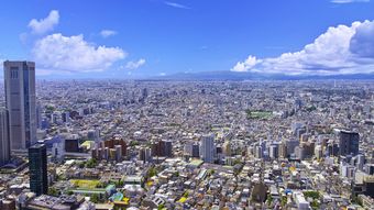 田園調布が危ない!2020年不動産地獄､始まる