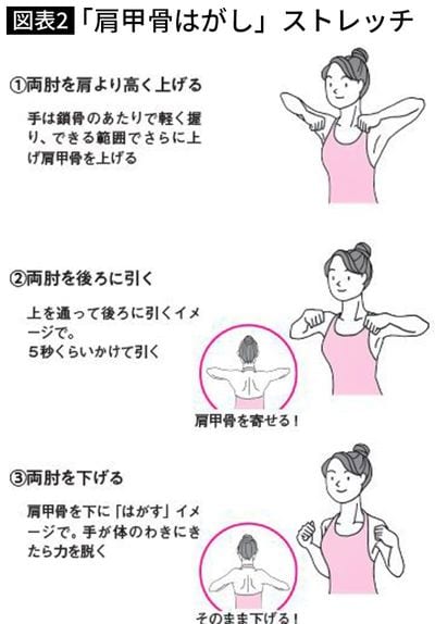 「肩甲骨はがし」ストレッチ