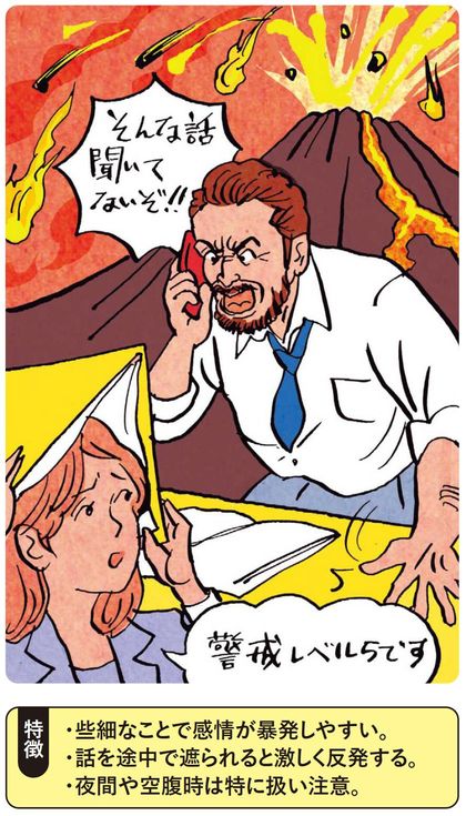 暴走ヒステリックタイプ