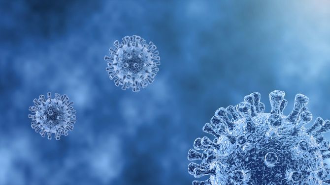 新型コロナウイルスの顕微鏡写真