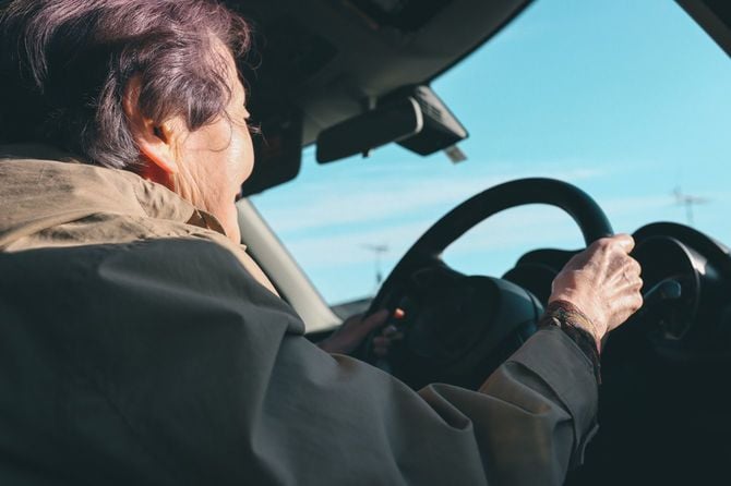 車を運転している高齢者