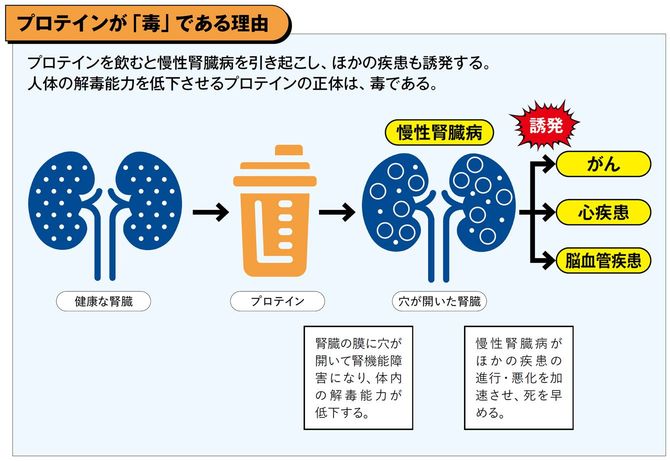 【図表】プロテインが「毒」である理由