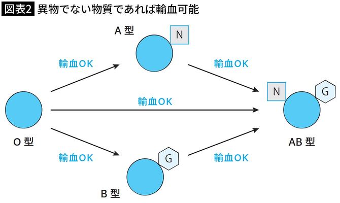 【図表2】異物でない物質であれば輸血可能