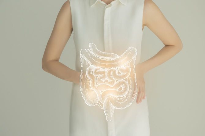 女性の写真に腸のイラストが合成されている