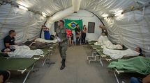 感染拡大で緊急事態宣言､軍隊も出動…ブラジルで急増｢デング熱｣で武田薬品のワクチンに期待が集まる理由