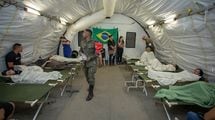 感染拡大で緊急事態宣言､軍隊も出動…ブラジルで急増｢デング熱｣で武田薬品のワクチンに期待が集まる理由