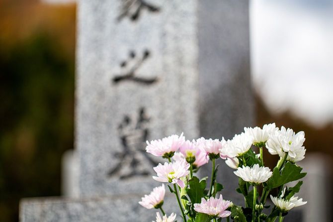 墓石の前に立てられた花