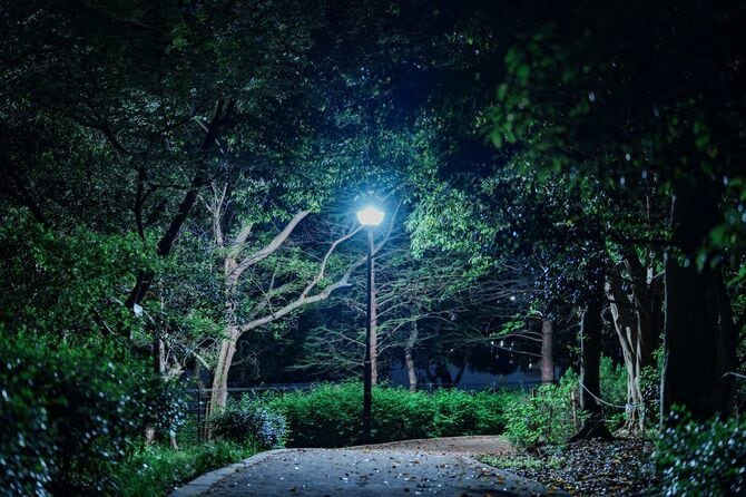 深夜の公園と街路灯