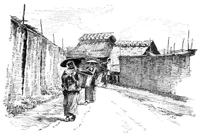 京都・宇治の茶畑で茶葉を運ぶ日本人女性