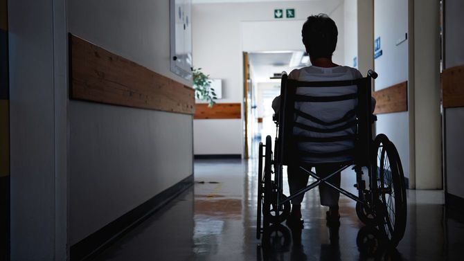 車椅子に座るシニア女性の後ろ姿