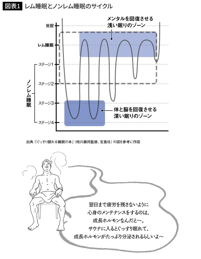 レム睡眠とノンレム睡眠のサイクル