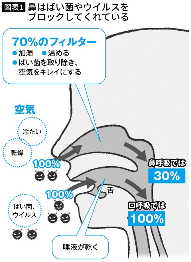 鼻はばい菌やウイルスをブロックしてくれている