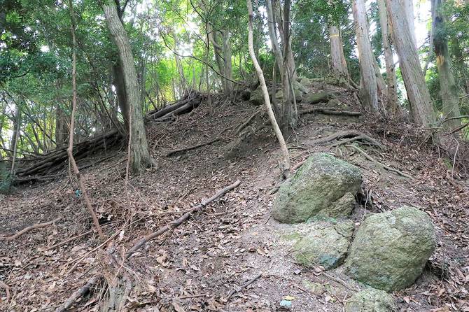 二の丸南端の切岸を城外より。転がる巨石はかつての石垣跡？