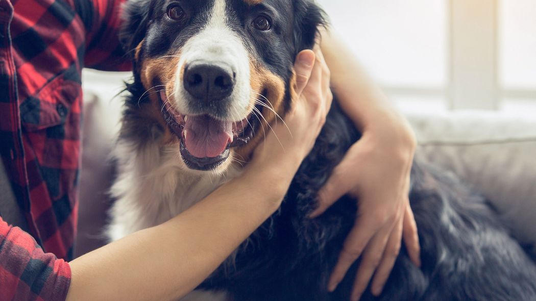 ｢オキシトシン=幸せホルモン｣は人間では証明されていない…"脳科学"を持ち上げるメディアの罪深さ 正確には｢ブラックボックスのまま｣