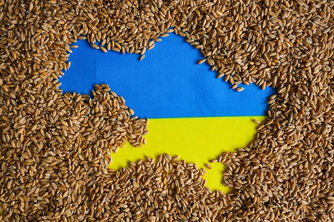 穀物のウクライナの地図