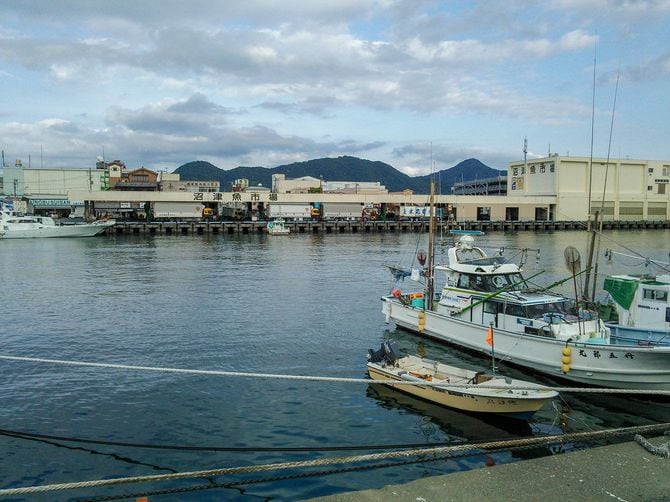 沼津港沼津魚市場