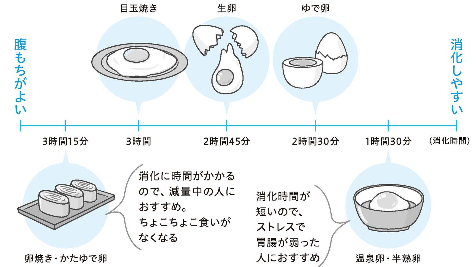 ｢卵は1日3個｣専門家が最強のスーパーフードと断言するワケ メンタルにも筋肉にも肌にも効く