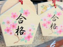 私立大学の受験料、10校で35万円もかかる!?