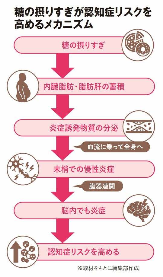 糖の摂りすぎが認知症リスクを高めるメカニズム