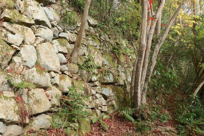 登山道から少し入った位置にある石垣