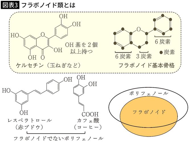 【図表3】フラボノイド類とは