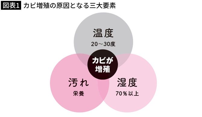 カビ増殖の原因となる三大要素