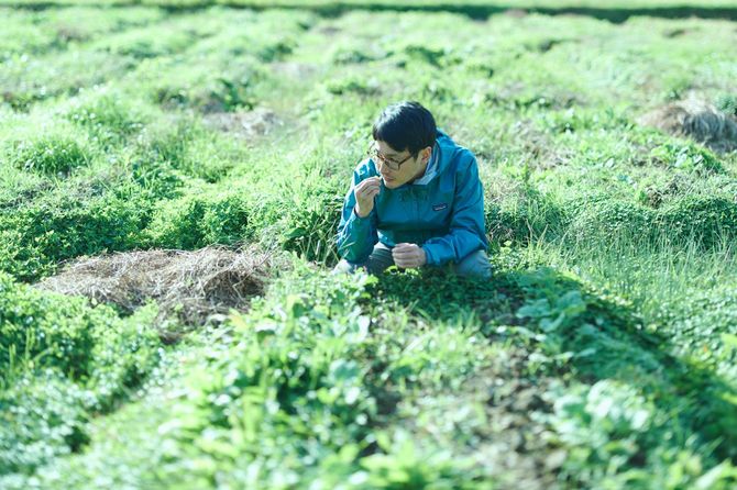 京都府・亀岡市の「やまのあいだファーム」