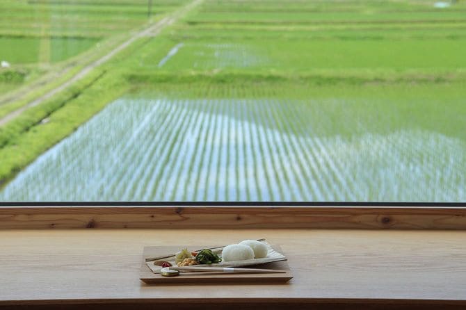 米が育った田んぼを見ながら食べられる