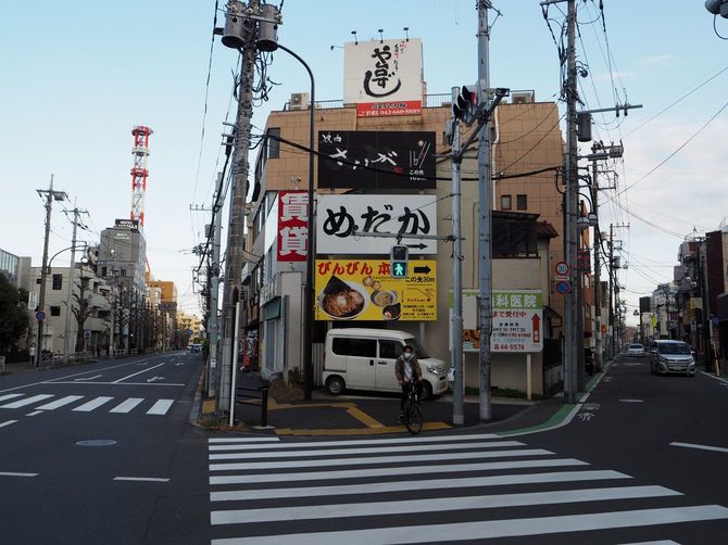 めだか販売店の広告看板