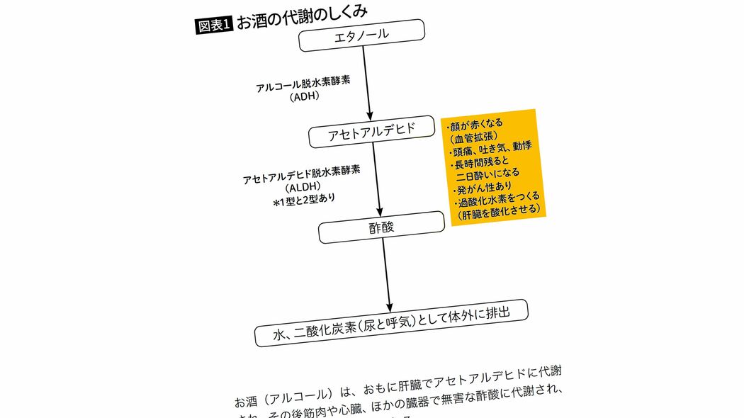 不足すると悪酔いしてしまう…医師｢アルコールの代謝に"主役級の活躍をする栄養素"の名前｣