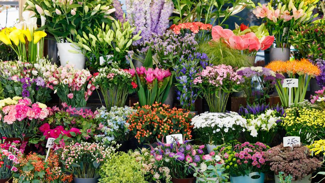 日本人の花離れに逆張りする｢サブスク｣の挑戦 この20年で購入金額は3割減だが…