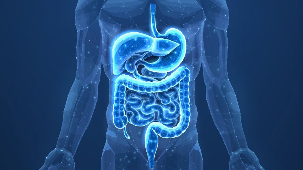 座りっぱなしで腸はヨボヨボ化する…内科医直伝｢毎朝スッキリの人がしている"座ったままできる運動"｣