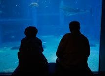 介護離職 親の年金で暮らすと後が絶望的