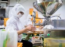 外国人材の猛烈な急増が引き起こす大問題