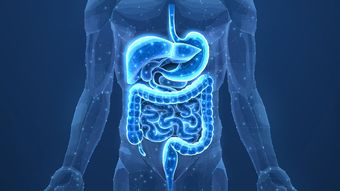 座りっぱなしで腸はヨボヨボ化する…内科医直伝｢毎朝スッキリの人がしている"座ったままできる運動"｣