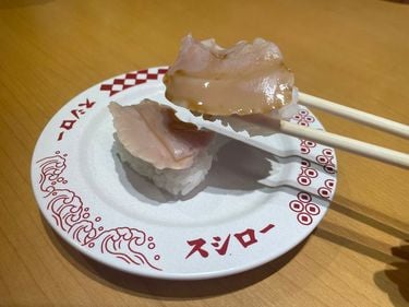 新種？クリスマス島　貝(大) 新種？クリスマス島 貝(大) 新種？クリスマス島 貝(大)