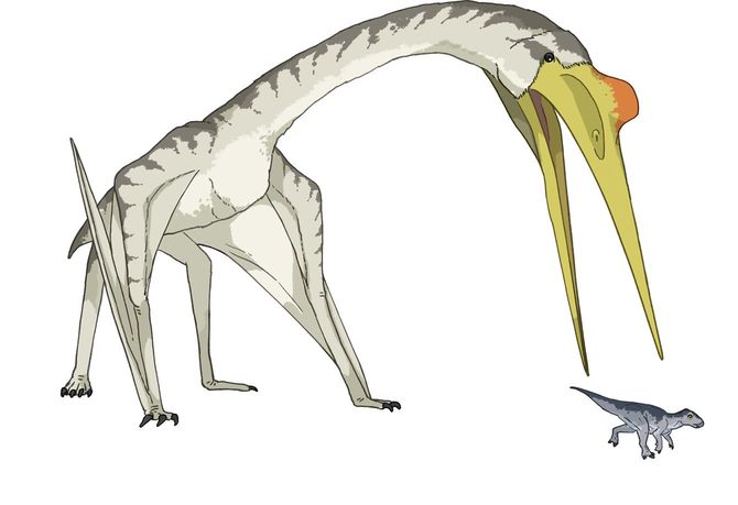 ケツァルコアトルス