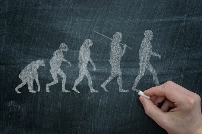 黒板に書かれた人間の進化図