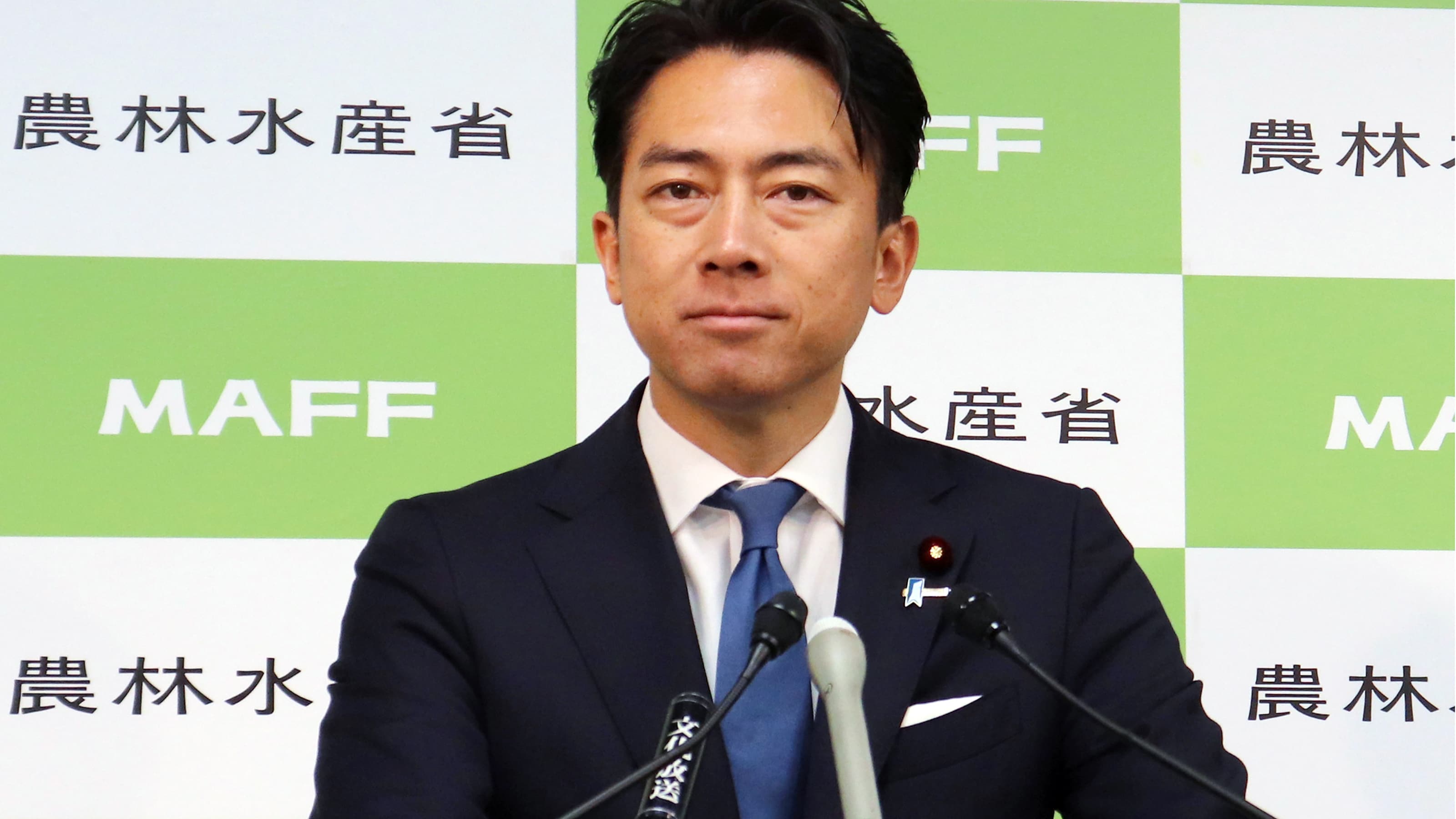 m*n様 お米専門農家スーパープレミアム専門。富裕層様向け 新米令和6年11月2 富永農産(富永暁)さんの新潟県上越市産コシヒカリ(特別栽培米