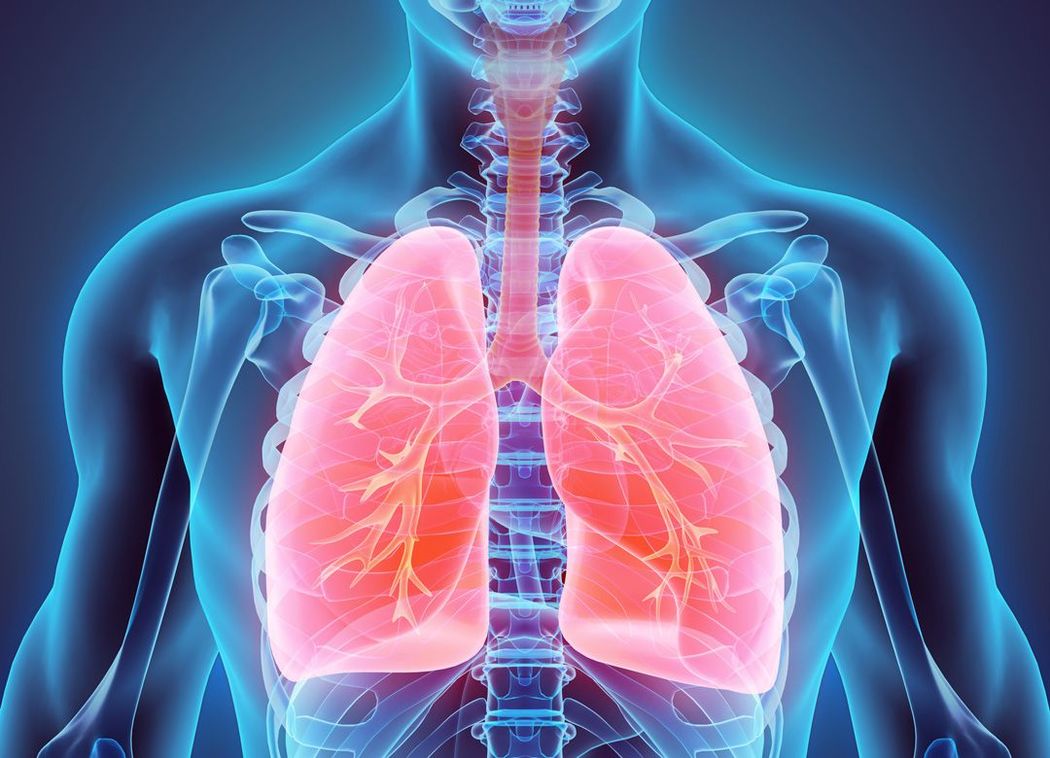 肺炎の原因となる加湿器の間違った使い方 空気中にカビを撒き散らす恐れが