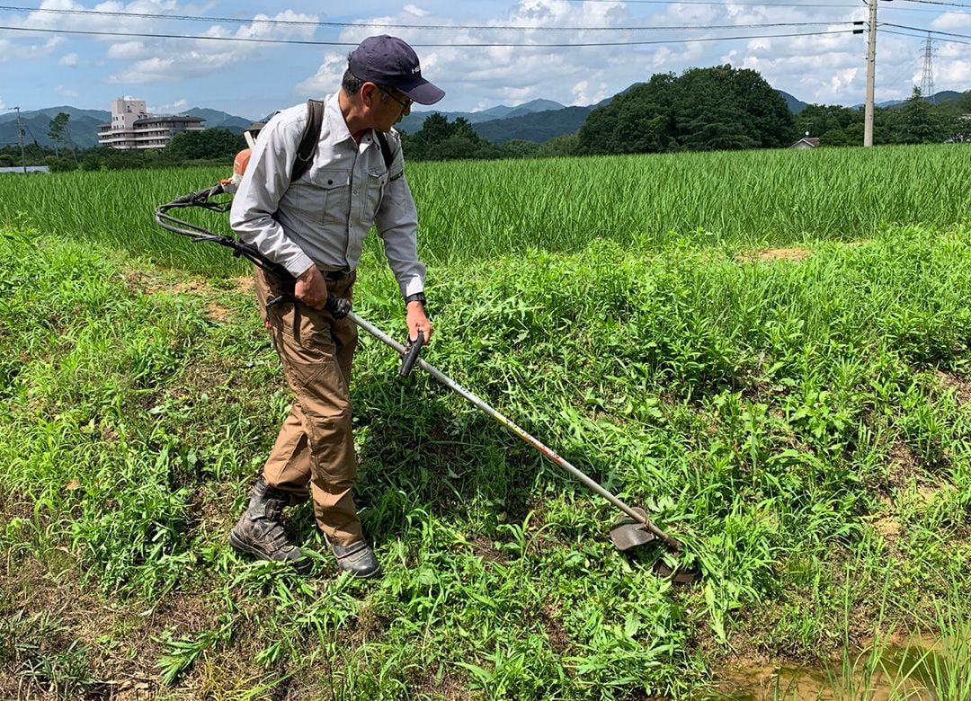 安易にジャムを作っても農業では食えない その前に 経営計画書 を書くべき 3ページ目 President Online プレジデントオンライン
