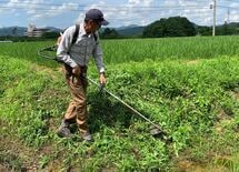安易にジャムを作っても農業では食えない