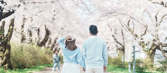桜並木を手をつないで歩くカップル