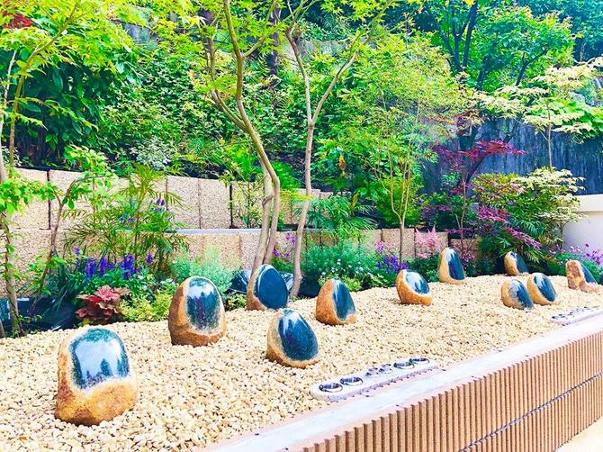 東京都港区虎ノ門の光円寺に設けられた「森の樹木葬」