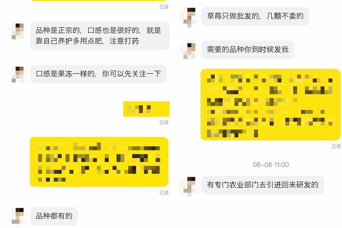 日本の苗木を販売している業者とのメッセージのやり取り。