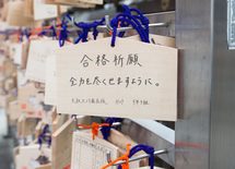 オール公立vs私立 教育費の差は1500万