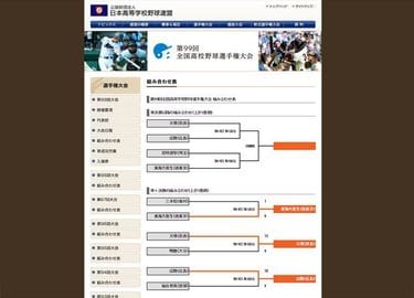 野球ネット各種。現地見学OK  息子が6年間、甲子園目指し練習したネットです。 project.jpg