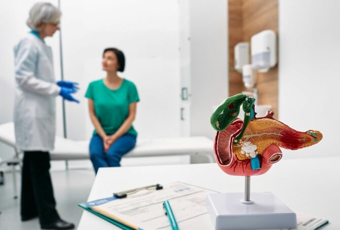 膵臓の解剖モデルと医者に相談する女性