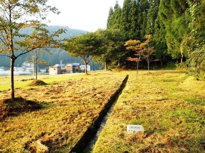 一乗谷朝倉氏遺跡の足利義昭御所跡（福井県福井市東新町）