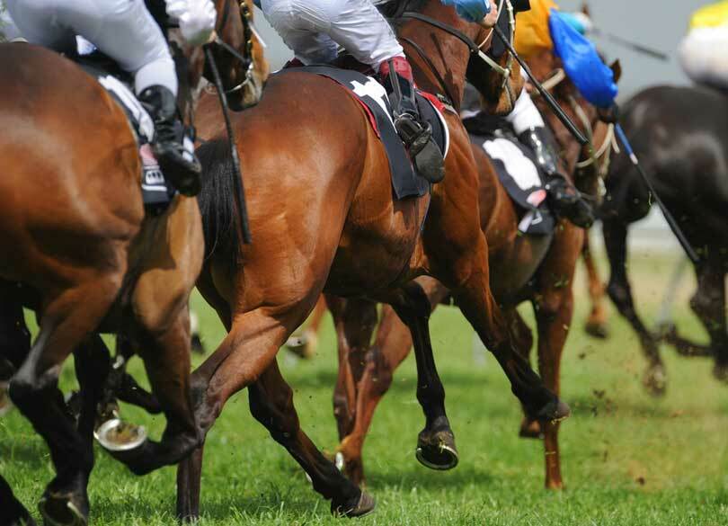 税務調査される売買額・損得額の境界線 競馬配当は一時所得か雑所得か